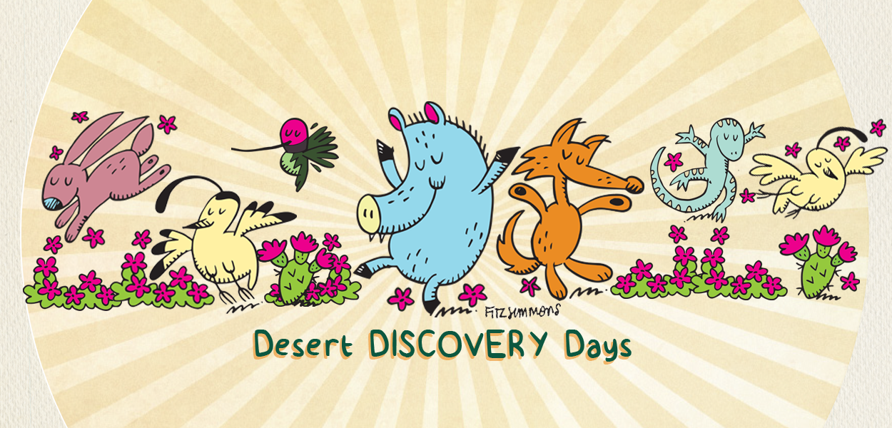 Desert Discovery Days for Kids | Native Bee Homes