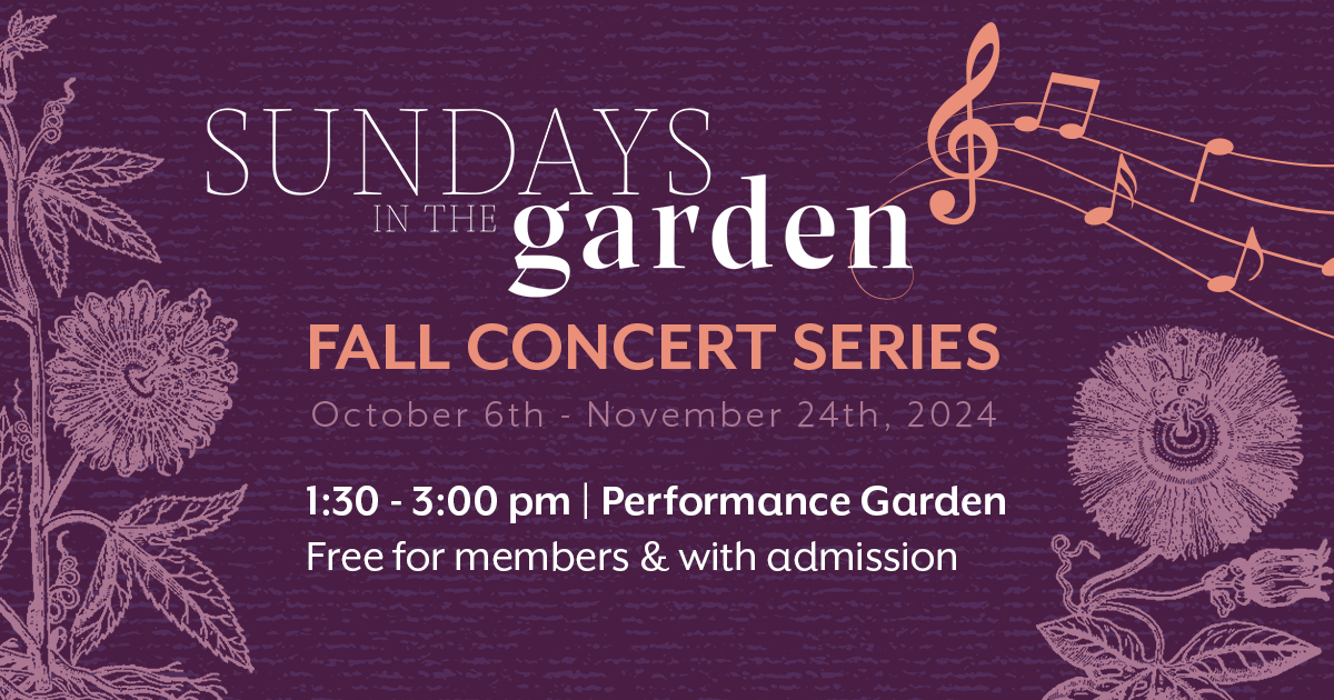 Sundays in the Garden – Fall Concert Series