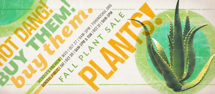 Fall Plant Sale