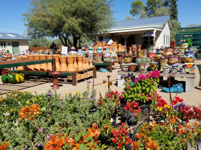 Green things pots 1 768x576