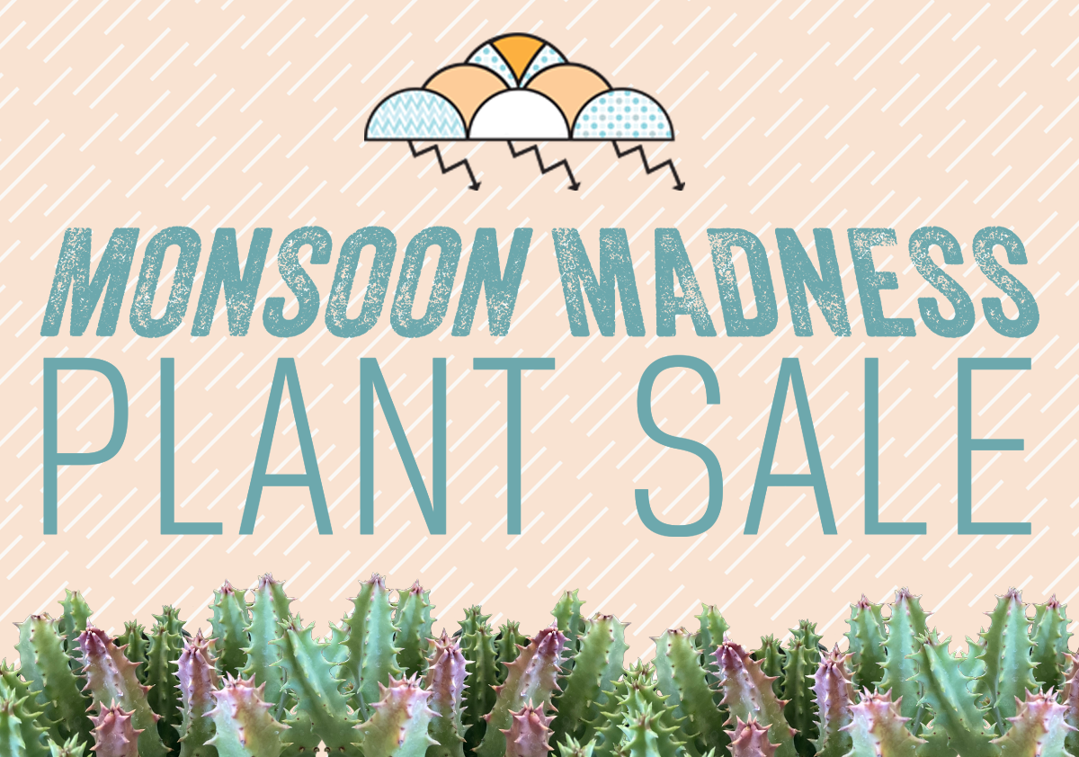 Monsoon Madness Plant Sale