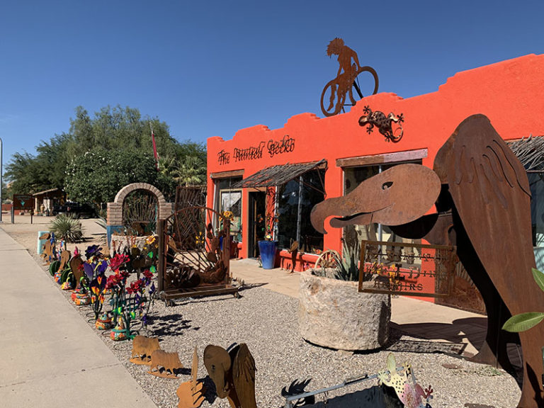 Painted Gecko 5 768x576