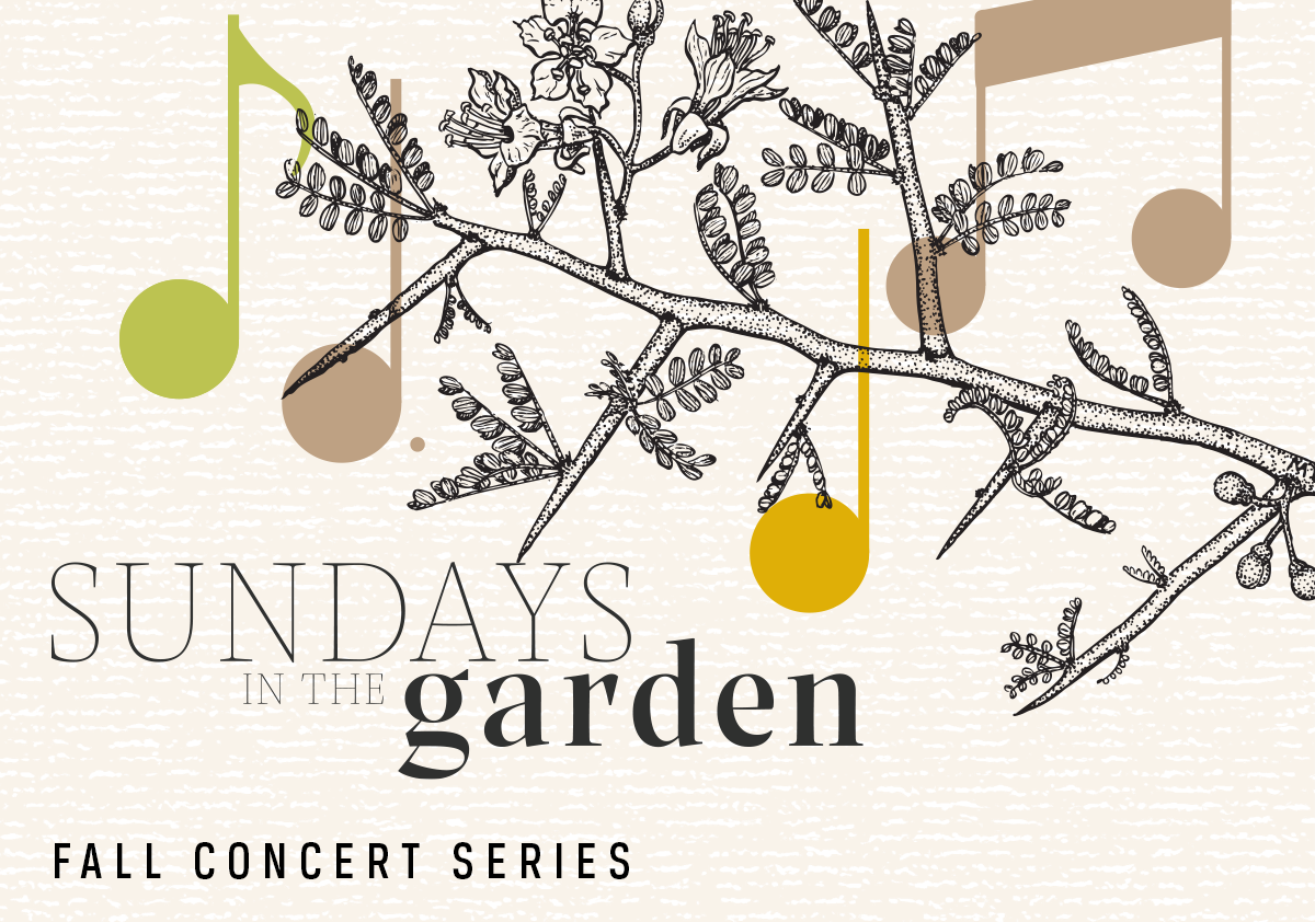 Sundays in the Garden | Ignacio Mondaca & Dante Olita (Classical Guitar)