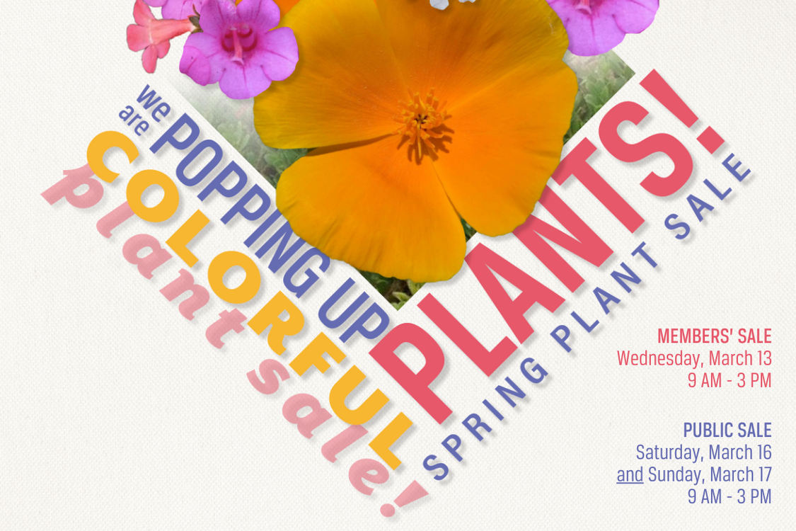 Members’ Only Spring Plant Sale