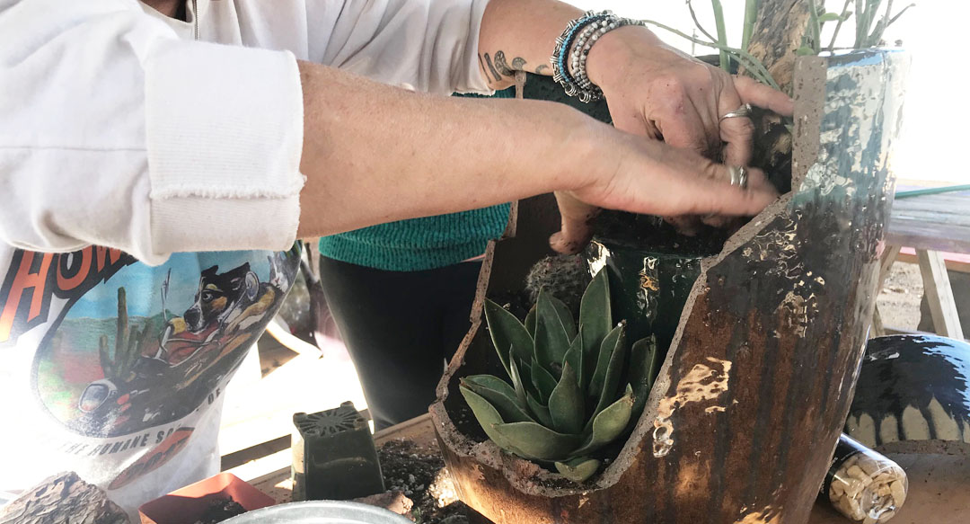 Green Things employee crafting planter of succulents in Tucson Arizona