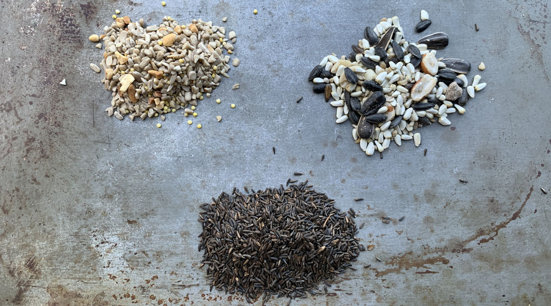 Three different bird seeds on a grey background. The seeds are complete patio blend seed mix, exclusively cardinal mix, and nyjer thistle seed