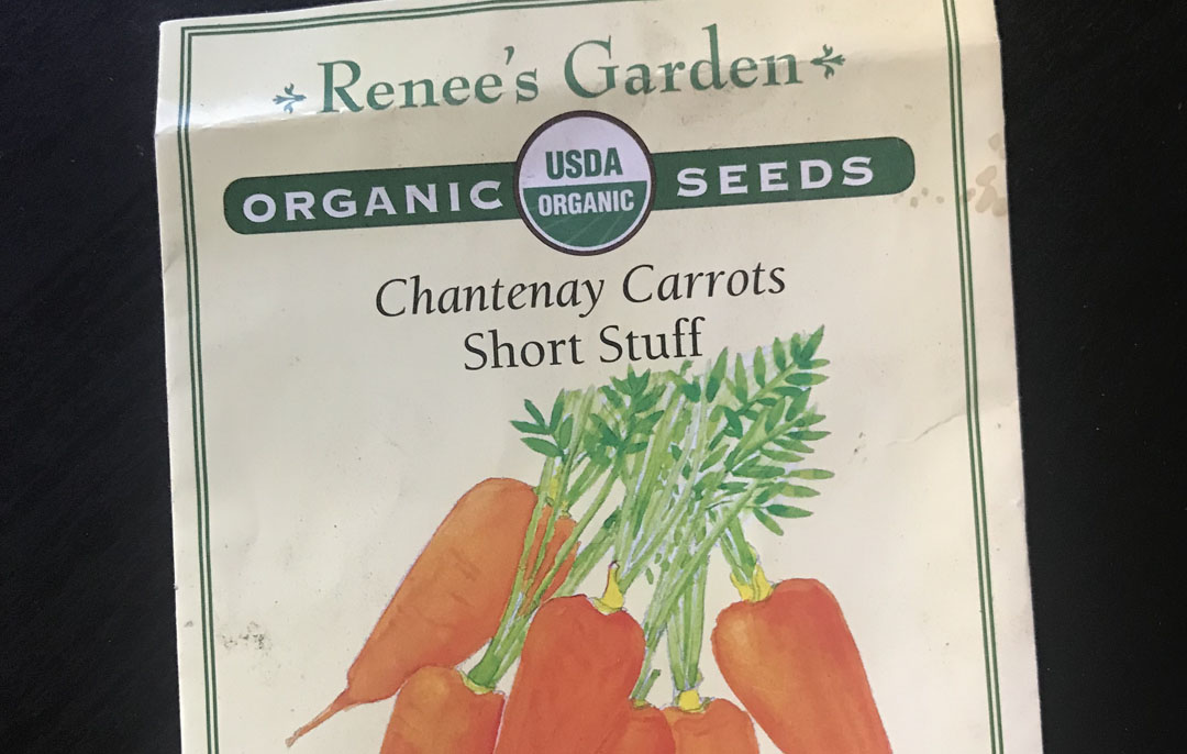 carrot seeds from Renee's Garden - sow them in October