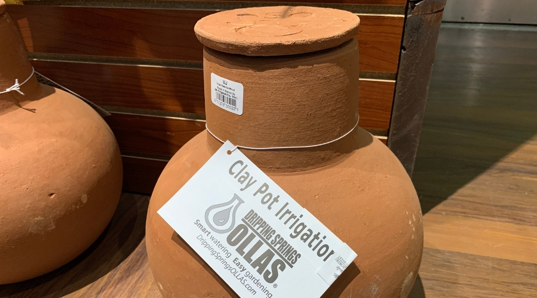 A clay olla with lid for sale in at Tucson store