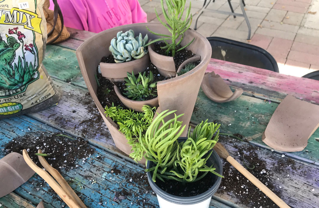 Broken pot planter being assembled at a class at Green Things in Tucson Arizona