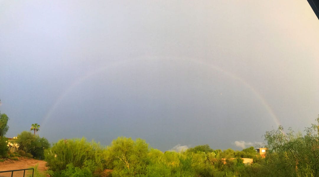 A rainbow appears during a rainstorm over trees in Tucson