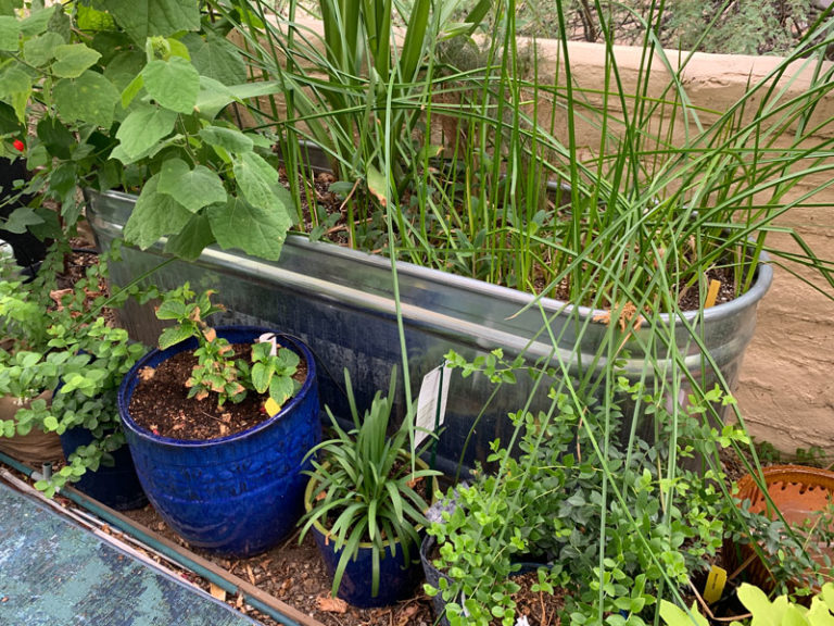 Tractor Supply stock tank 768x576