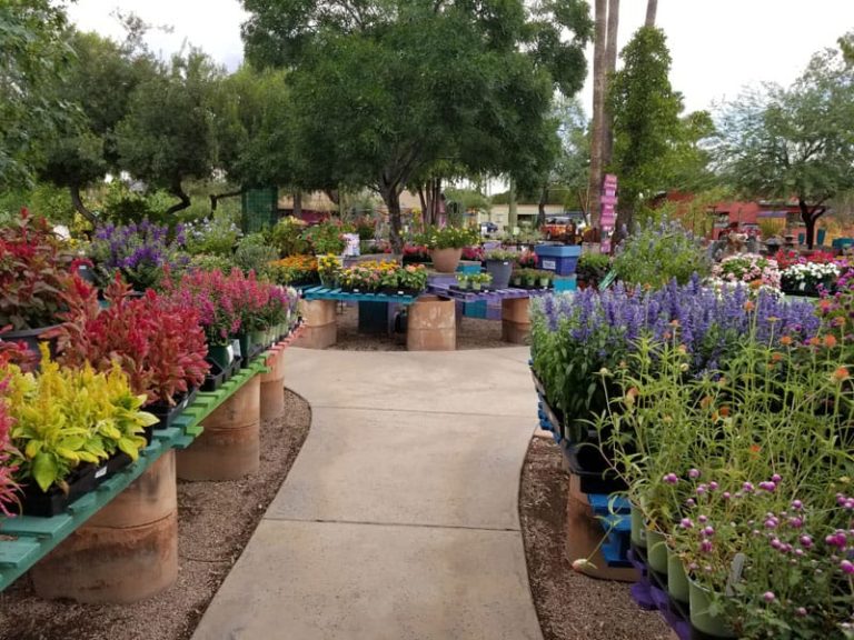 harlow gardens 1 768x576