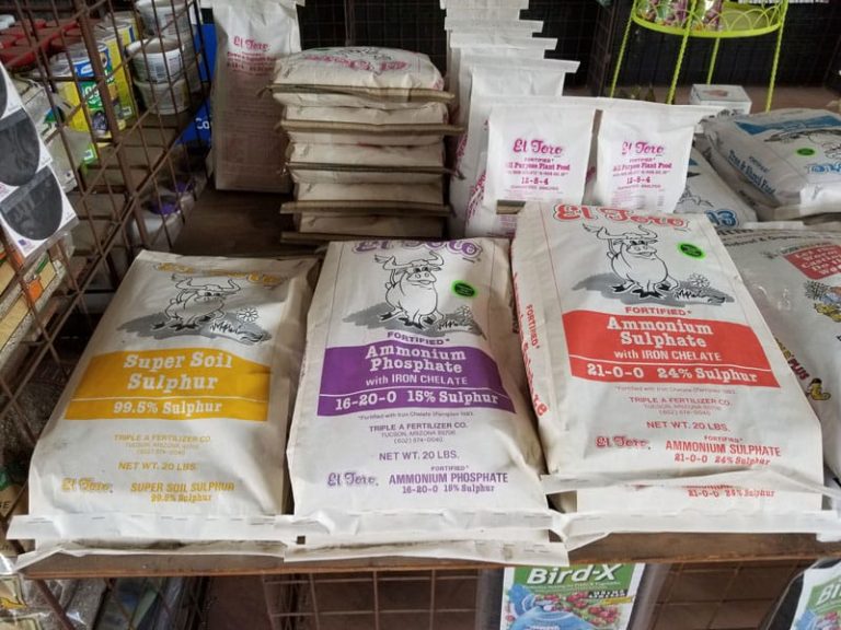 harlow gardens 10 768x576