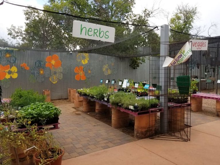 harlow gardens 7 768x576